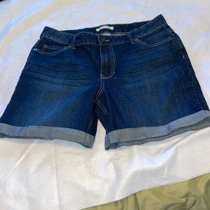Canyon River Blues shorts